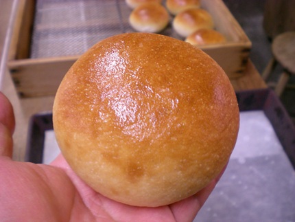 DSCN7534.jpg